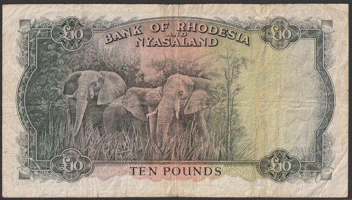 Lot 12883