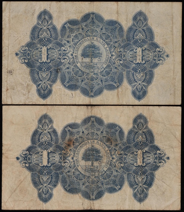 Lot 12907