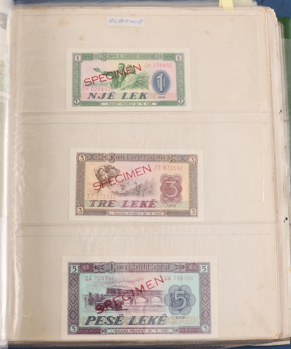 Lot 13017