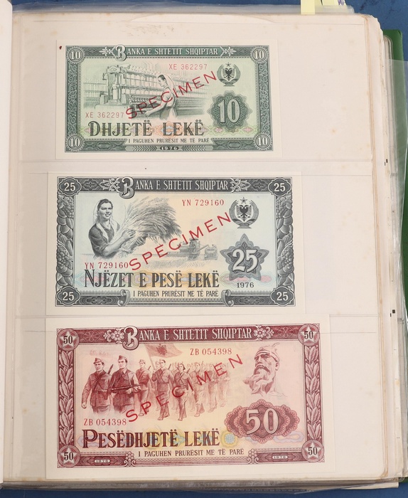 Lot 13017
