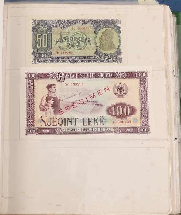 Lot 13017