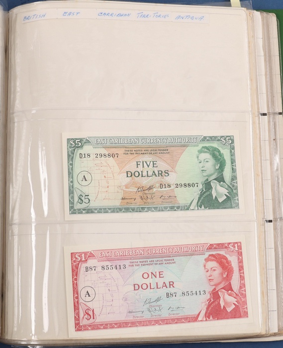 Lot 13017