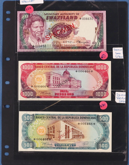 Lot 13020