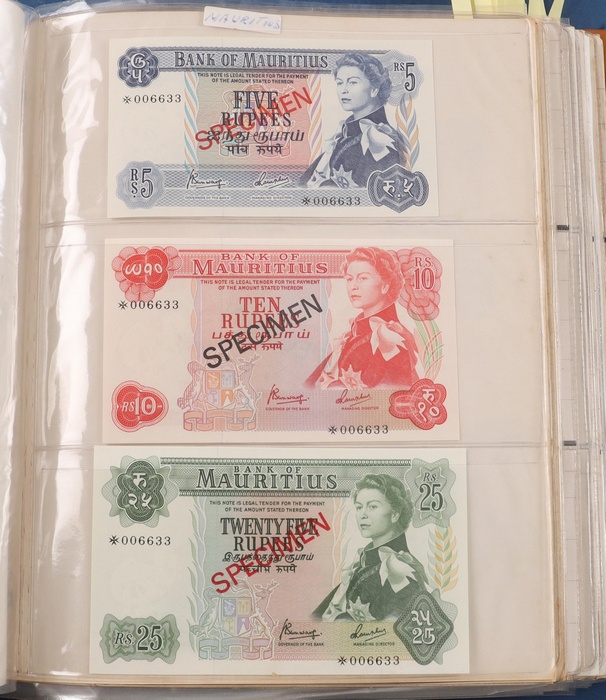 Lot 13029