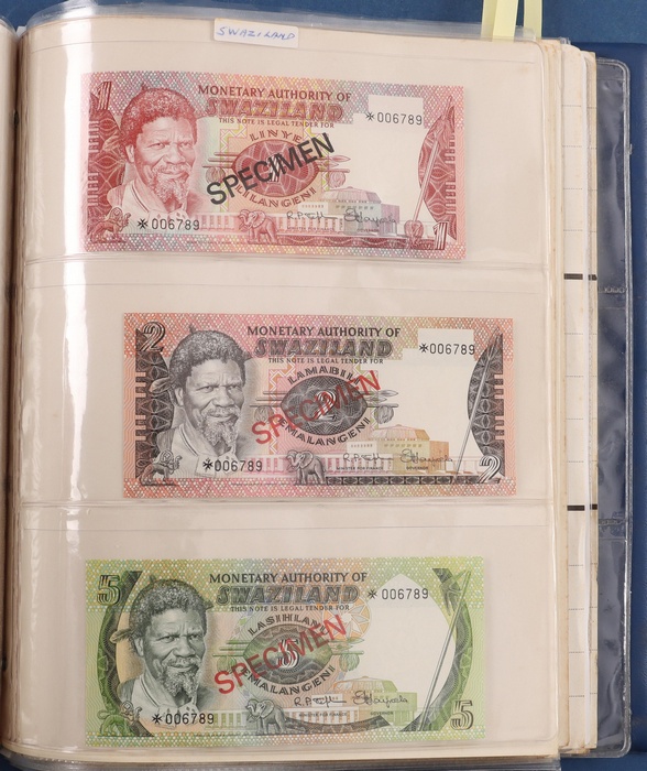 Lot 13031