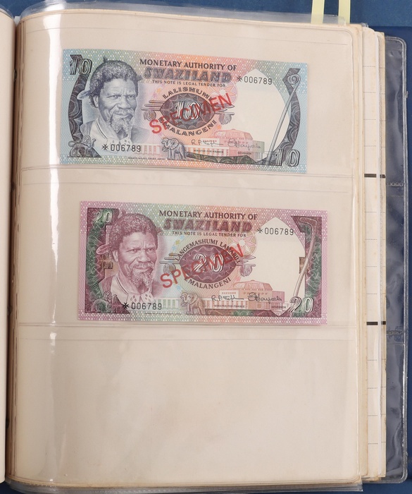 Lot 13031