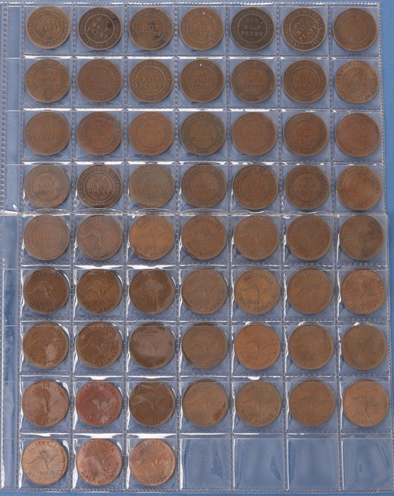 Lot 13043