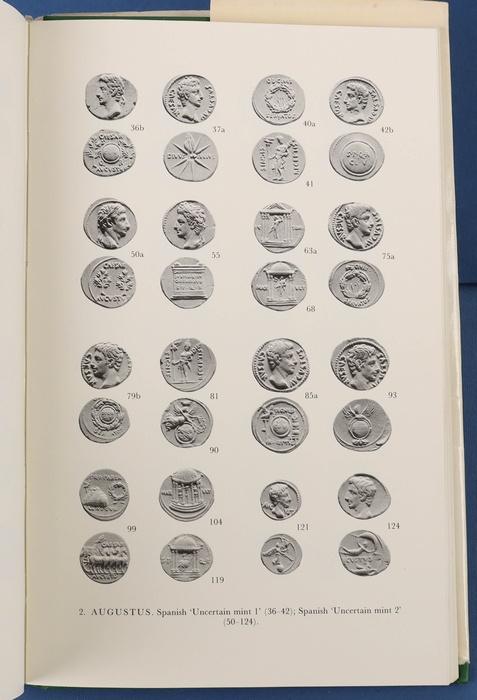 Lot 13995