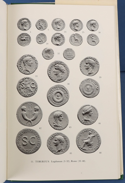 Lot 13995