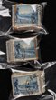 1934 Victorian Centenary 3d (mixed perfs) in bundles. Mostly G-VFU, minimum SG cat &pound;1500+ = A$3000+. (274)