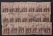 1940 AIF 6d (86), 3d (310), 1d & 2d (100 each). Mostly in bundles, G-VFU. SG cat &pound;6400+ = A$13,000. (596)