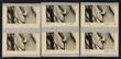 CPS - Counter Printed Stamps: 1993-2010 collection with sets of 6 severed singles inc Endangered Species (3 sets), then Kangaroos & Koalas inc 45c blank liberal, values 45c, 50c & 55s plus 'button value' sets to 50c/$1/$1.45. Also Painting Candle Roof prs (3) with blank literal, 45c NPC1 & $1.00 NPC1. FV alone $200. Retail $1050 for normal issues plus premium for button sets, plus est $600 for proofs, so total $1600+. (75 sets, 456 stamp)