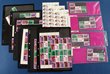 Decimals 1968-71 variety collection inc 1968 Medical Congress, autotron 'Thick Line' gutter blks of 20 with sheet numbers & showing major variety 'Needle in thumb' (4 strips), 1971 Christmas blks of 7 (15), blks of 25 (3) & 4 marginal top & bottom gutter blks of 30 (yielding 8 blks of 7). Fresh VF MUH. SG 429, 498a (var). ACSC 489-90, 572-528 cat $1950.