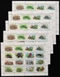 Christmas Island: 1987-89 Wildlife 1c-$5 sheetlet of 16, ea with 1988 imprints as base of all stamps, from presentation packs. VF fresh MUH. SG 229a cat &pound;180. Retail $475. Scarcest issue of Christmas Island. (5 sheets)