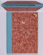 Asia: The Paquebot Marks of Asia & of Japan's Sea Posts by E Drechsel. 64pgs with many illustrations. Pub ca 1995.