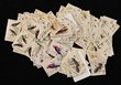 Norfolk Island: 1970-71 Birds set 1c-$1, 10 sets. VF fresh MUH. SG 103-117 cat &pound;230. (150).