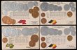 Coin cards, HSM series with embossed metallic coinage, plus flags and exchange rates, including Argentina, Belgium, Egypt, France, Great Britain, Netherlands and Transvaal (14); Guggenheim series from France with embossed coins plus banknotes and views (4); other embossed metallic issues (6); Royal Mint coin production stages (7). Odd faults, mostly VF. (31)