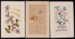Embroidered silks, WWI period, with a wide range of greetings including Christmas, birthday, wife, mother, daughter, sister, encouraging messages, etc. Mostly F-VF, with a few faults.. (40)