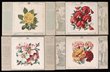 Silks, FAB patchwork cards, each with a silk panel 85 x 85 mm, including bouquets of flowers (16) and Prince of Wales. Fine condition, all different. Pre-WWI. Scarce. (17)